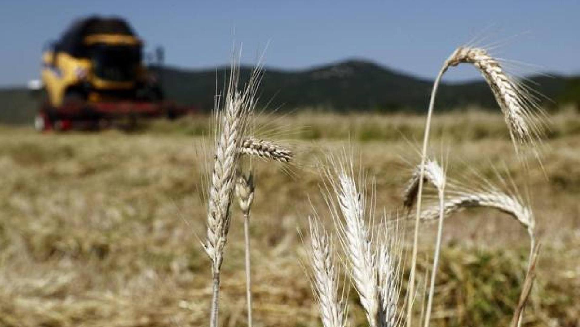 Transferidos En Dos Meses 104 Millones En Ayudas De La PAC A Burgos