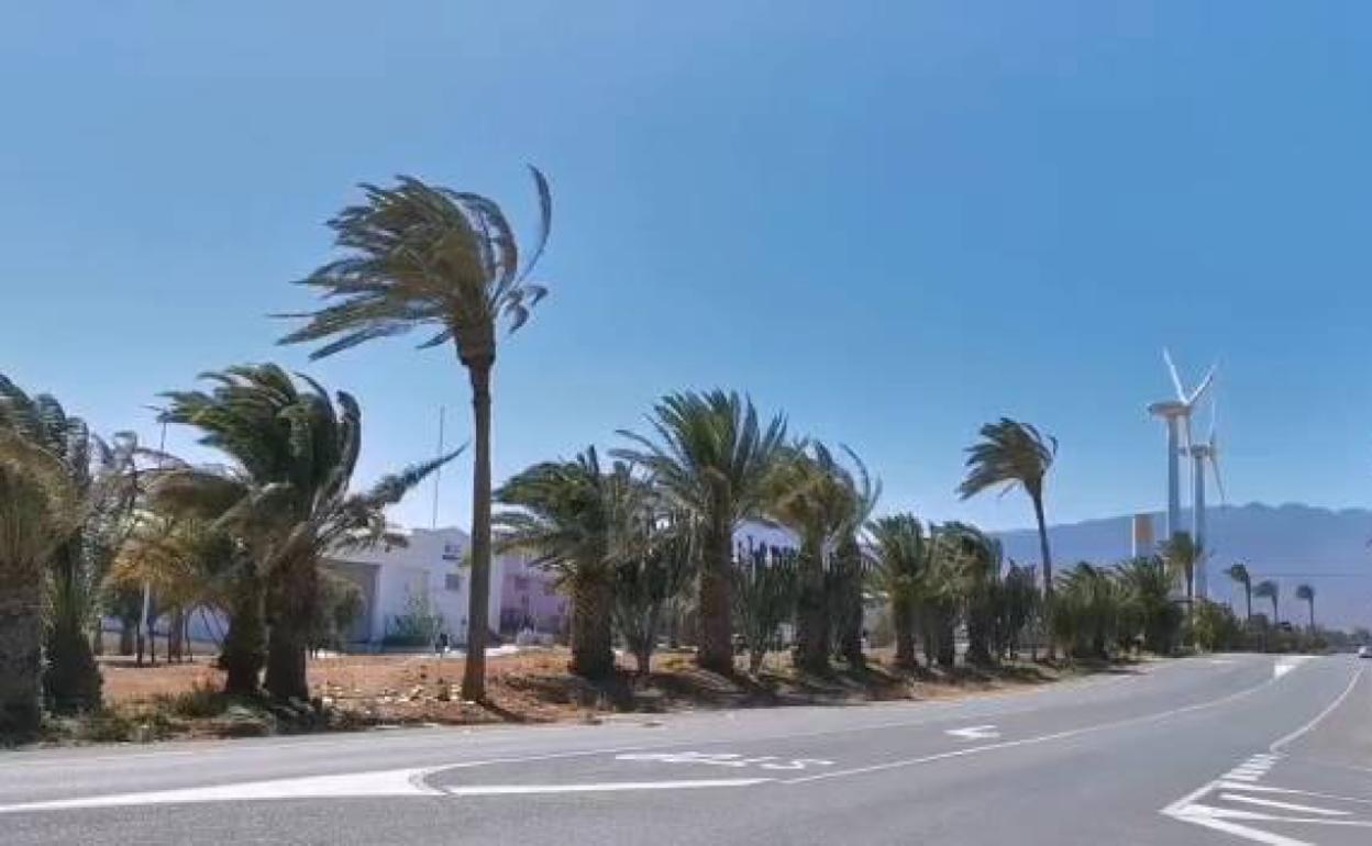 La Aldea registra una racha de viento de 82 kilómetros por hora Canarias7