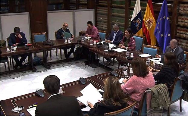 La plataforma contra el cable por Carrizal propone al Parlamento un cambio normativo