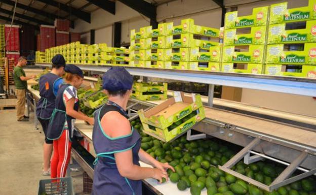 El Sector Agroalimentario Registra Un Nuevo R Cord Exportador Con