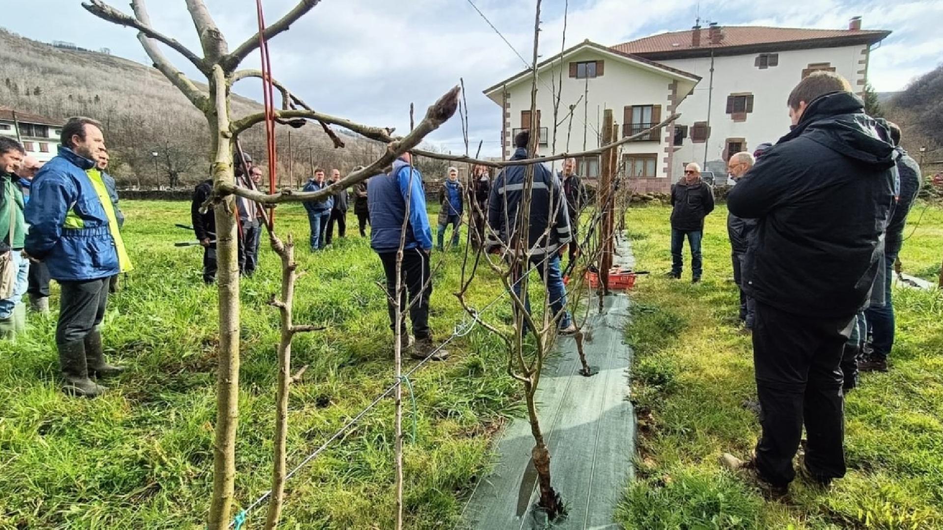 Baztan Bortziriak 32 Personas Asisten Al Curso De Poda Moderna De