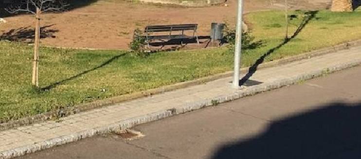 Comienza la aplicación de tratamiento fitosanitario en la zona 6 de Miajadas