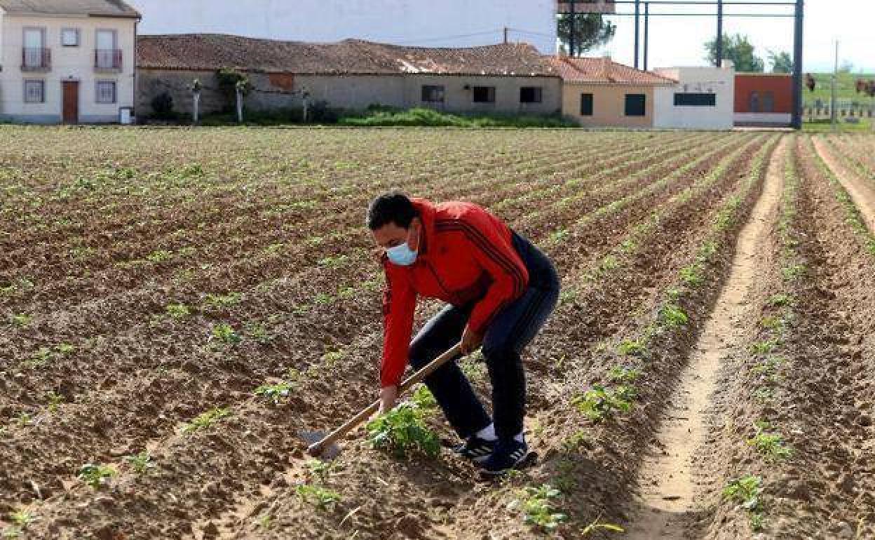 El Ministerio De Agricultura Asigna A Extremadura 2 59 Millones De