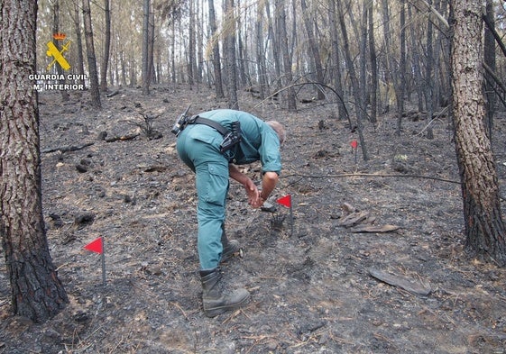 La Guardia Civil ha detenido por incendios forestales este año en