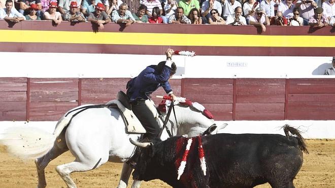 Once Orejas Y Tres Rabos En Otra Tarde Triunfal En La Feria De Zafra Hoy