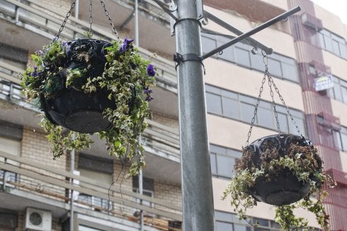 Mejoras En Las Jardineras Colgantes Hoy