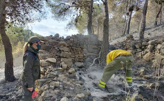 Incendio forestal en Almería | Arranca la investigación para dar con el origen del incendio de Castala