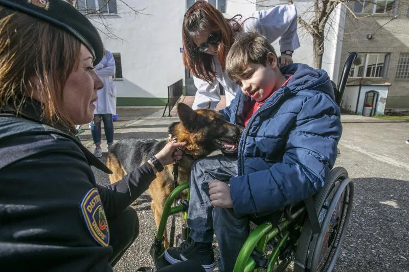 Fotos Stan Lee El Perro Polic A En Su Nueva Ocupaci N Solidaria Ideal