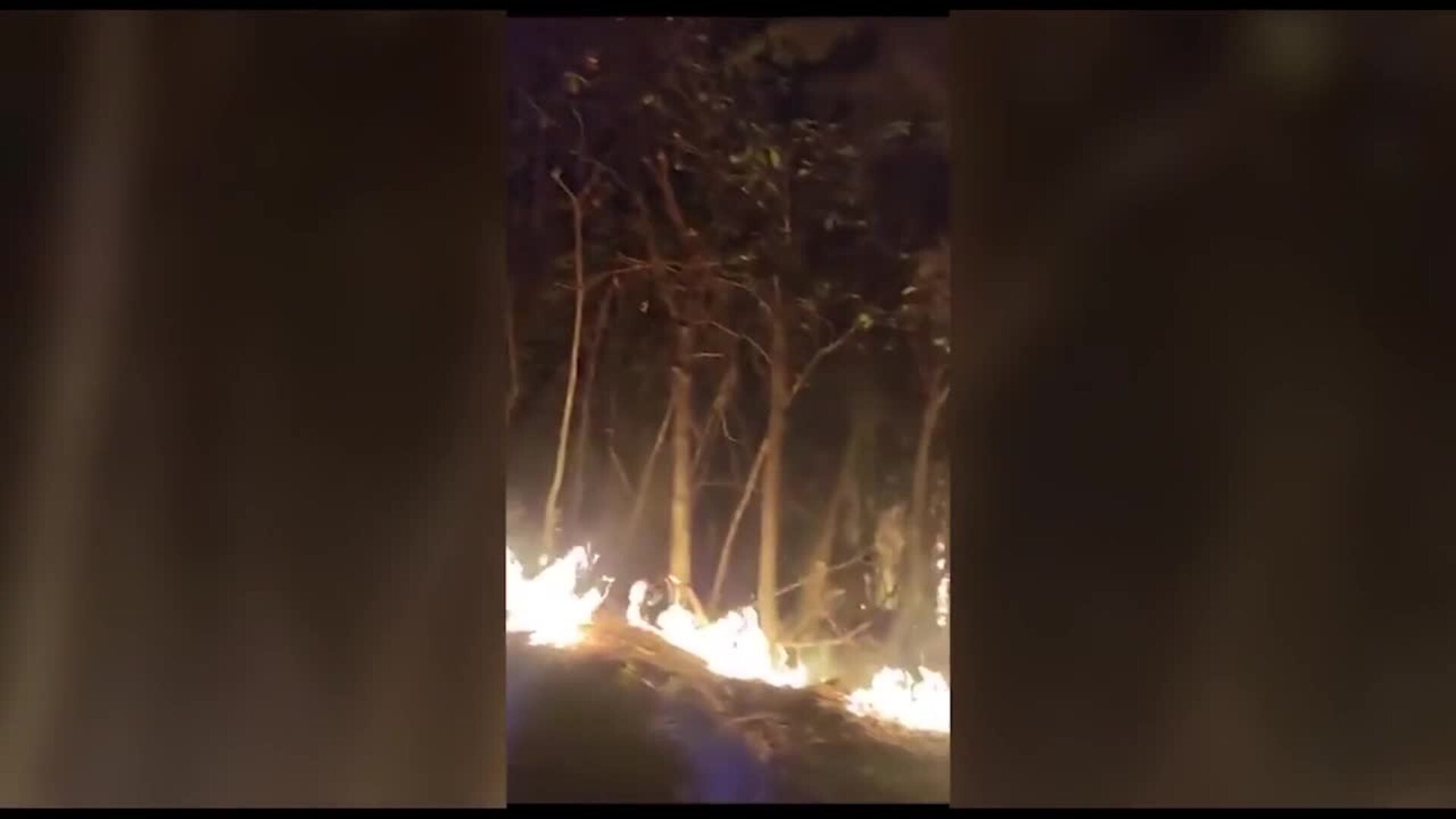 El incendio de Tenerife ya afecta a 5 000 hectáreas Ideal