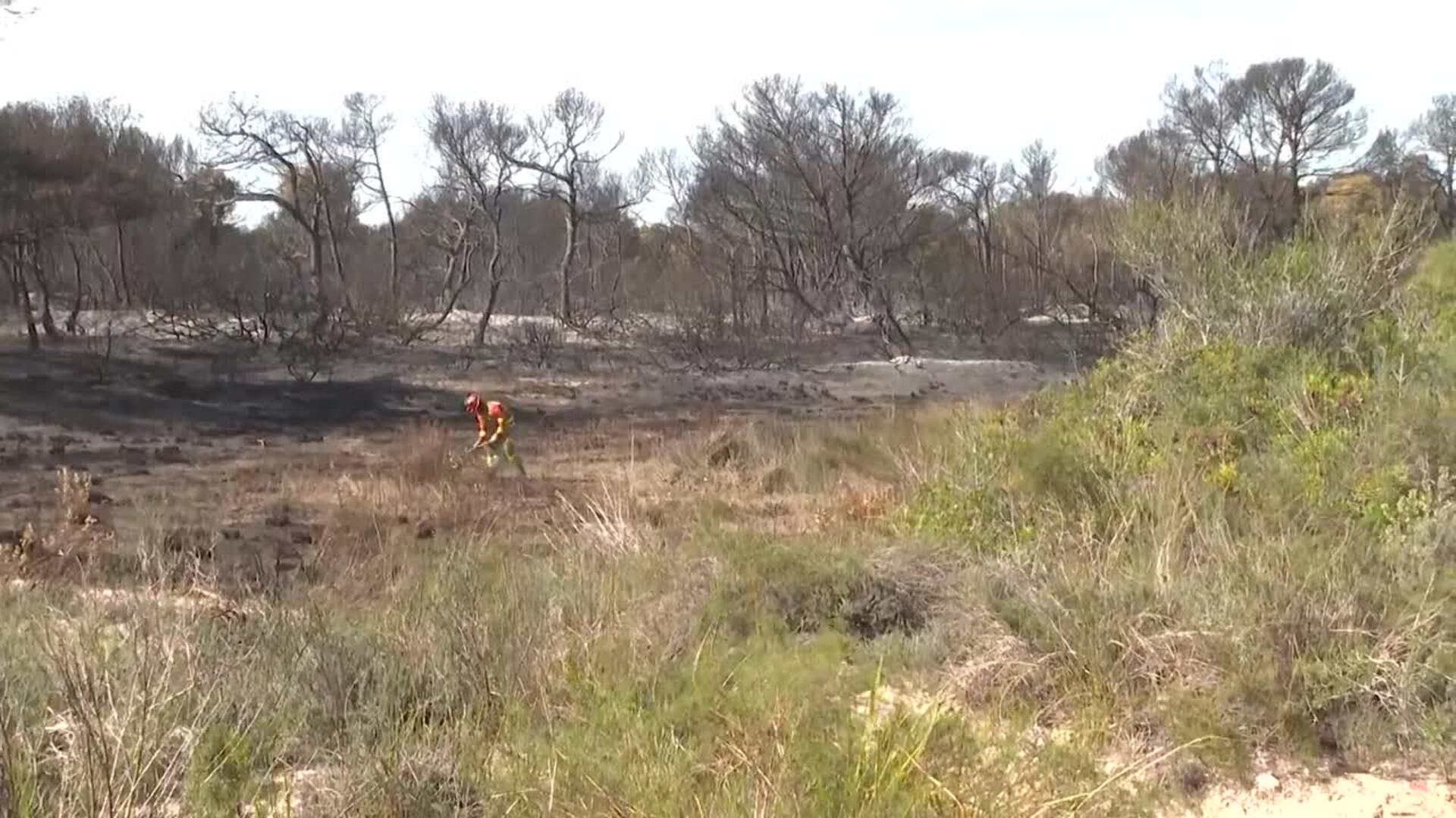 Un Incendio Forestal Presuntamente Provocado Arrasa Una Zona De El