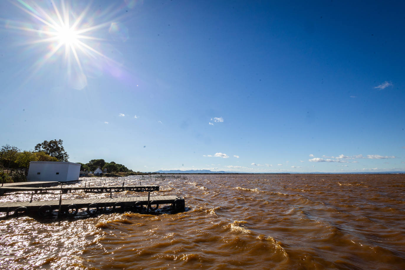 El Agua De La Albufera De Valencia Se Vuelve Marr N Las Provincias