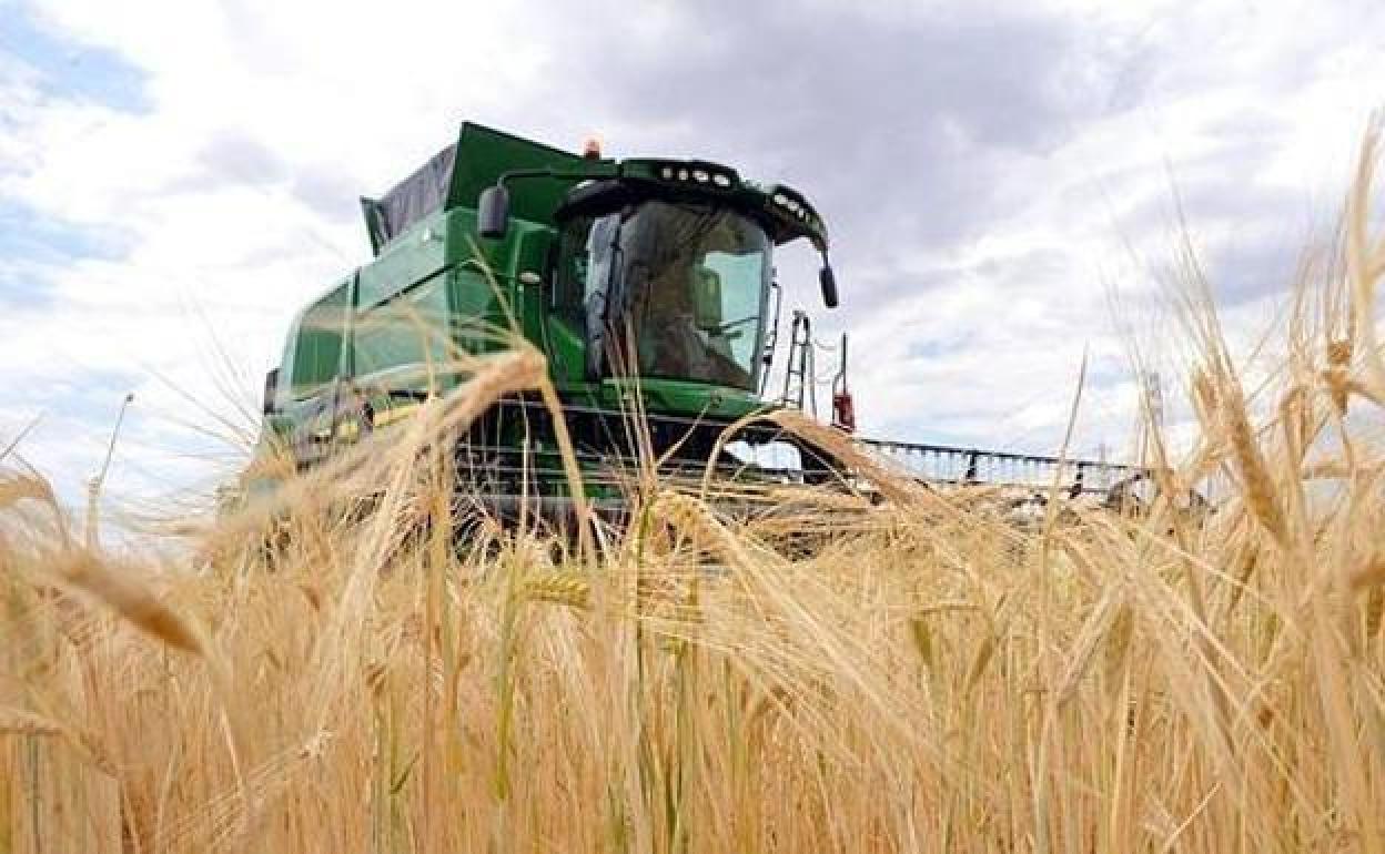 La Junta publica la regulación de las ayudas agroambientales y de