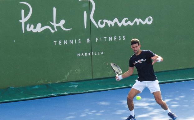 Australia investigates Djokovic for lying about his travels
