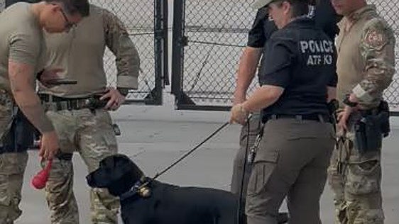 Detectores de armas y perros antidroga para evitar catástrofes