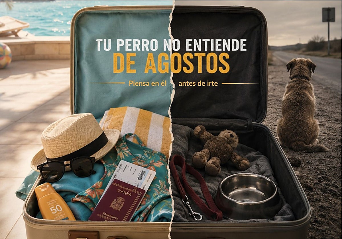 Operación Salida y abandono animal: la cara más amarga de los viajes por carretera este verano