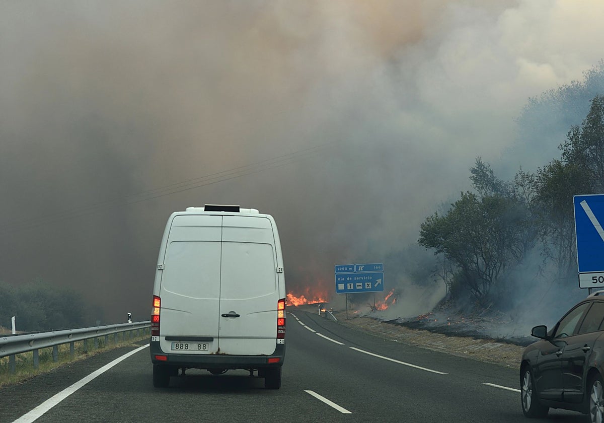 Incendio en las inmediaciones de una carretera