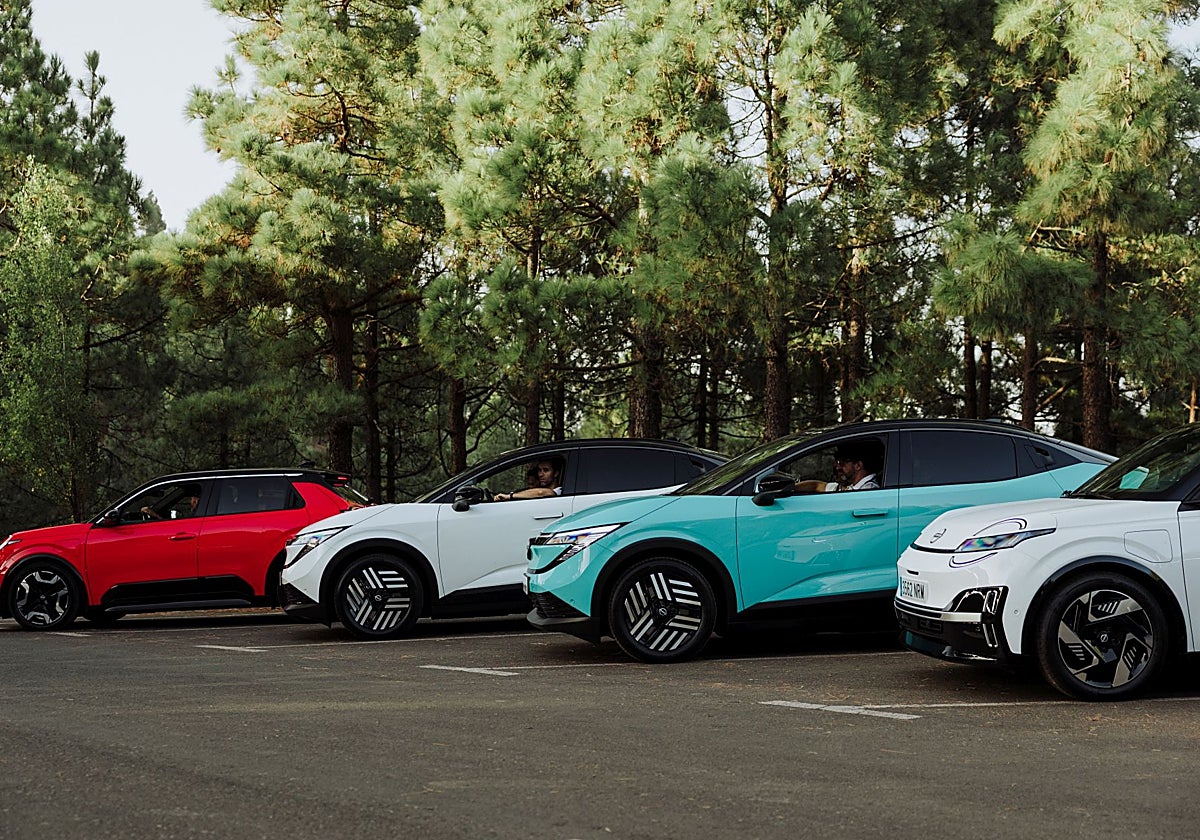 Nissan acelera en su ofensiva eléctrica | El Norte de Castilla
