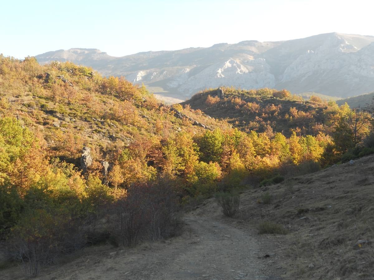 La ruta parte de la localidad de Santa María de Redondo, siguiendo el curso del río Pisuerga, hasta llegar a la magestuosa cueva de Fuente Cobre