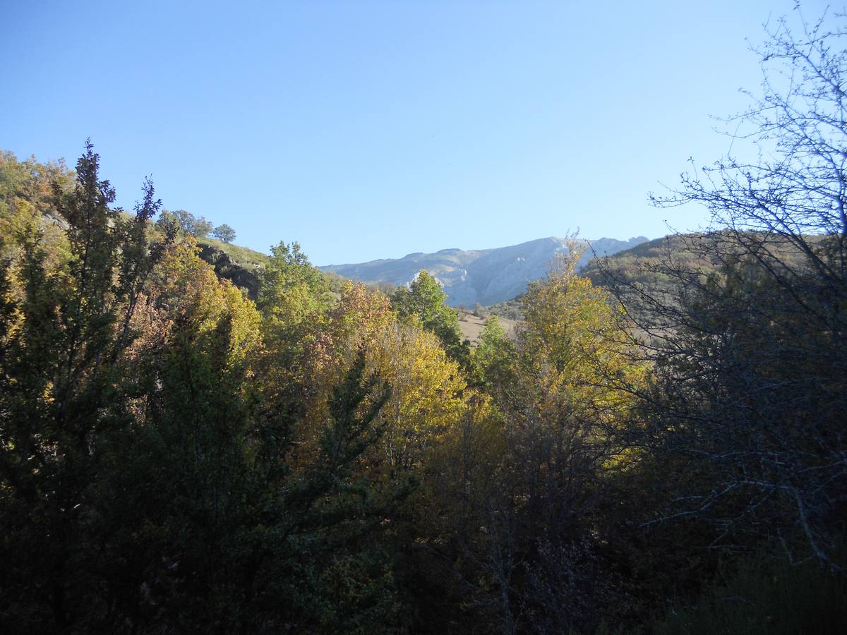 La ruta parte de la localidad de Santa María de Redondo, siguiendo el curso del río Pisuerga, hasta llegar a la magestuosa cueva de Fuente Cobre