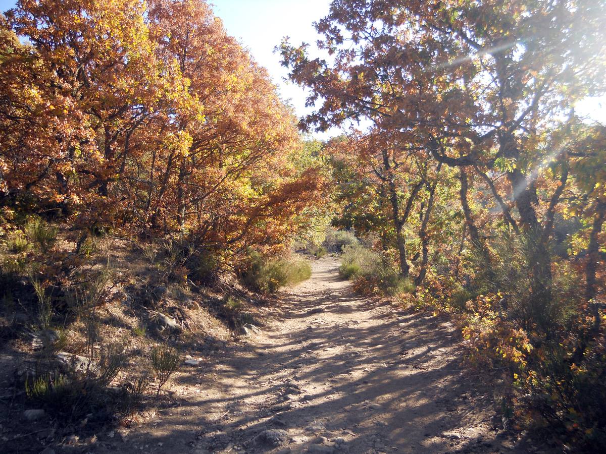 La ruta parte de la localidad de Santa María de Redondo, siguiendo el curso del río Pisuerga, hasta llegar a la magestuosa cueva de Fuente Cobre