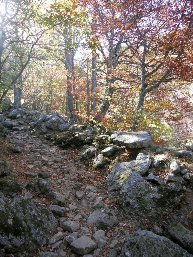 La ruta parte de la localidad de Santa María de Redondo, siguiendo el curso del río Pisuerga, hasta llegar a la magestuosa cueva de Fuente Cobre