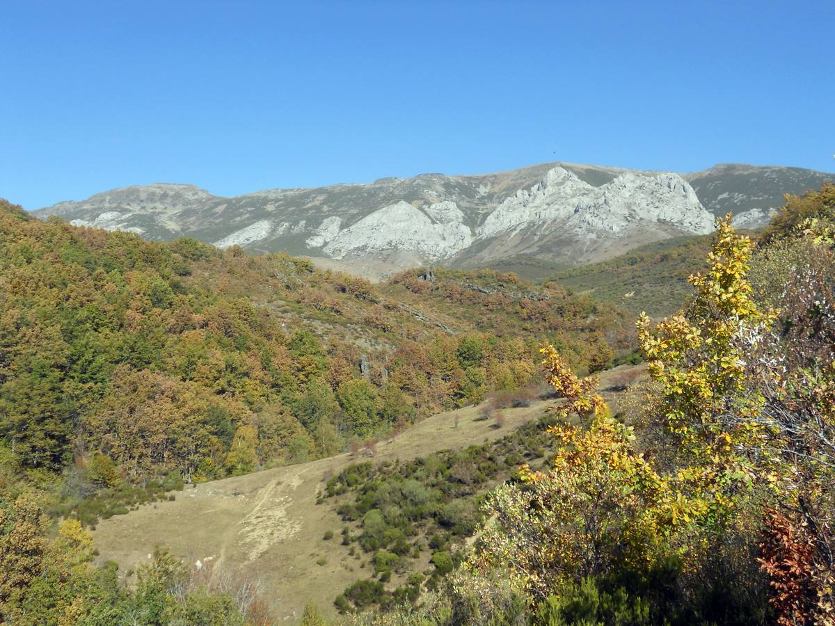 La ruta parte de la localidad de Santa María de Redondo, siguiendo el curso del río Pisuerga, hasta llegar a la magestuosa cueva de Fuente Cobre