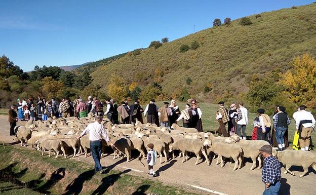 Los pastores parten hacia Extremadura con el ganado