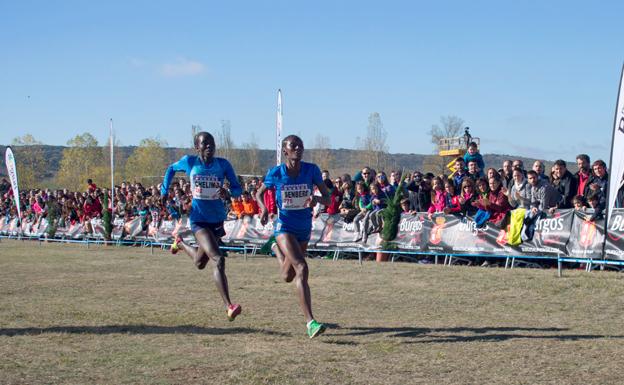 Senbere gana el pulso sobre Chelimo