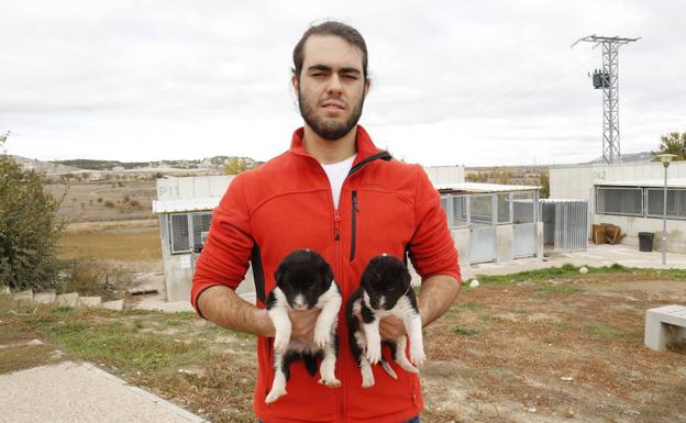 Daniel Doyague, voluntario, con los cachorros. 