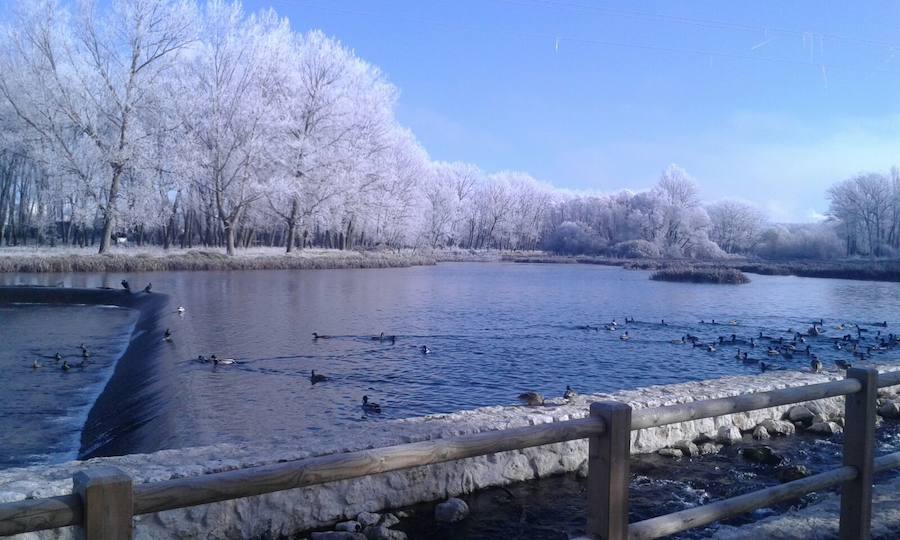 La ciudad burgalesa se ha levantado con el blanco subido, mucho frío pero bellas estampas invernales