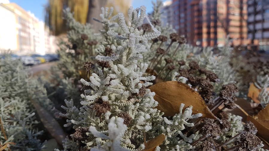 La ciudad burgalesa se ha levantado con el blanco subido, mucho frío pero bellas estampas invernales