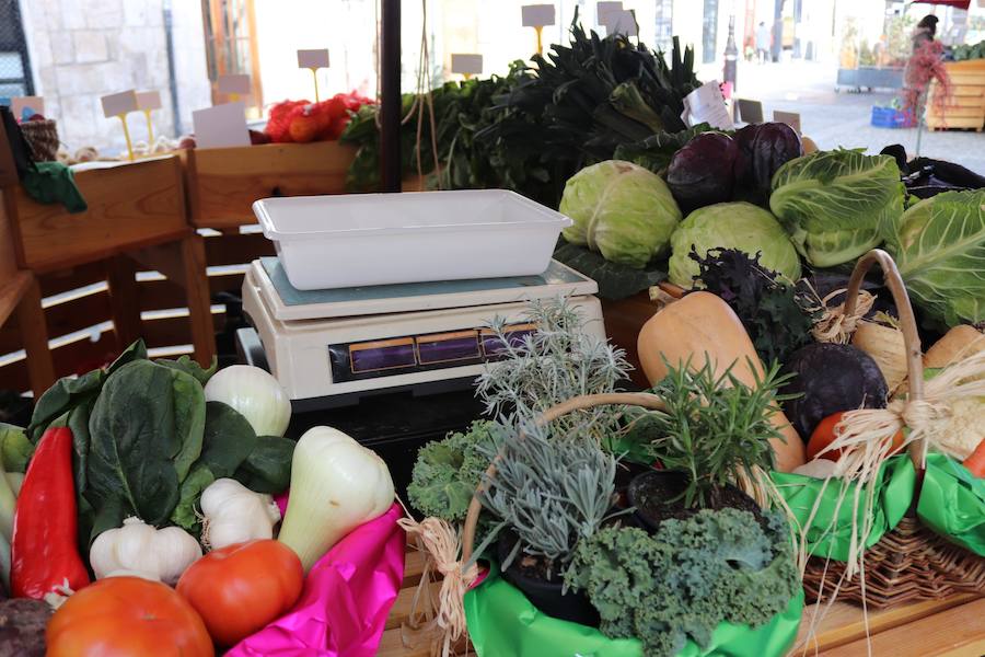 Del 6 al 10 de diciembre, la Plaza de la Flora acoge un mercado 'Autöctono' con productos ecólogicos.