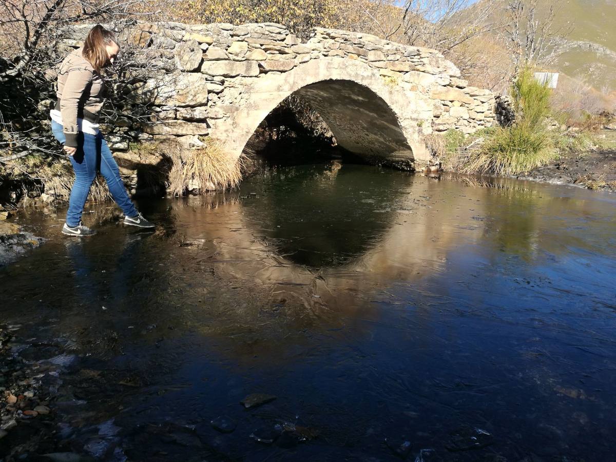 San Cipriano (Sanabria).