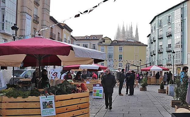 Mercado 'Autöctono' situado en la Plaza de la Flora