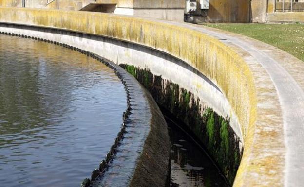 La polémica ha surgido a raíz de las subvenciones para el ciclo integral del agua