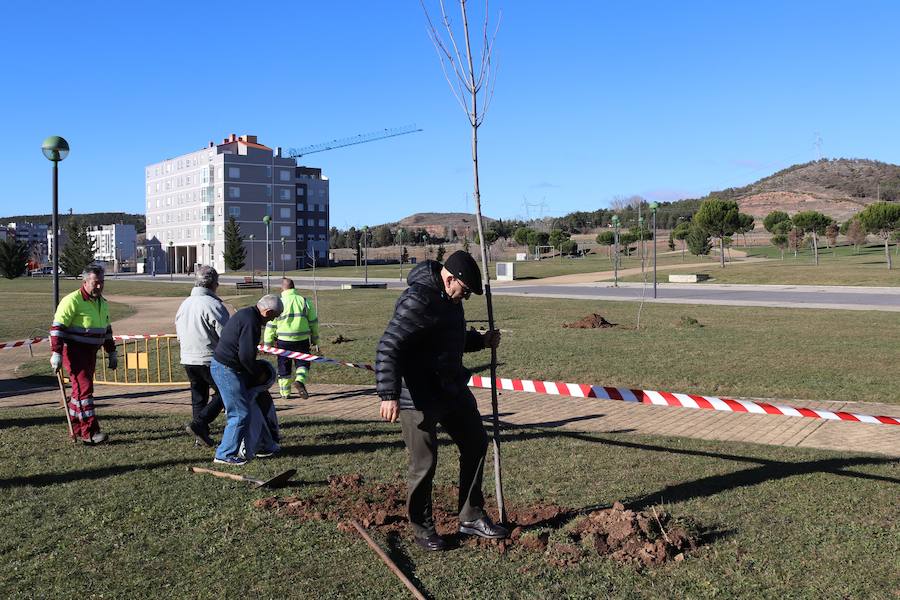 La Asociación Párkinson Burgos ha realizado su tradicional plantación de árboles en el Parque Juan Pablo II