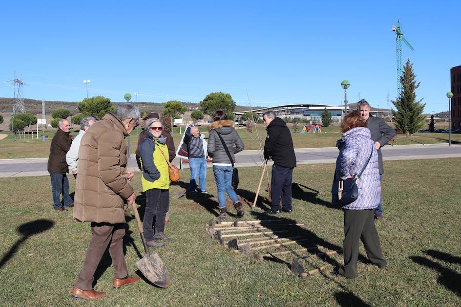 La Asociación Párkinson Burgos ha realizado su tradicional plantación de árboles en el Parque Juan Pablo II