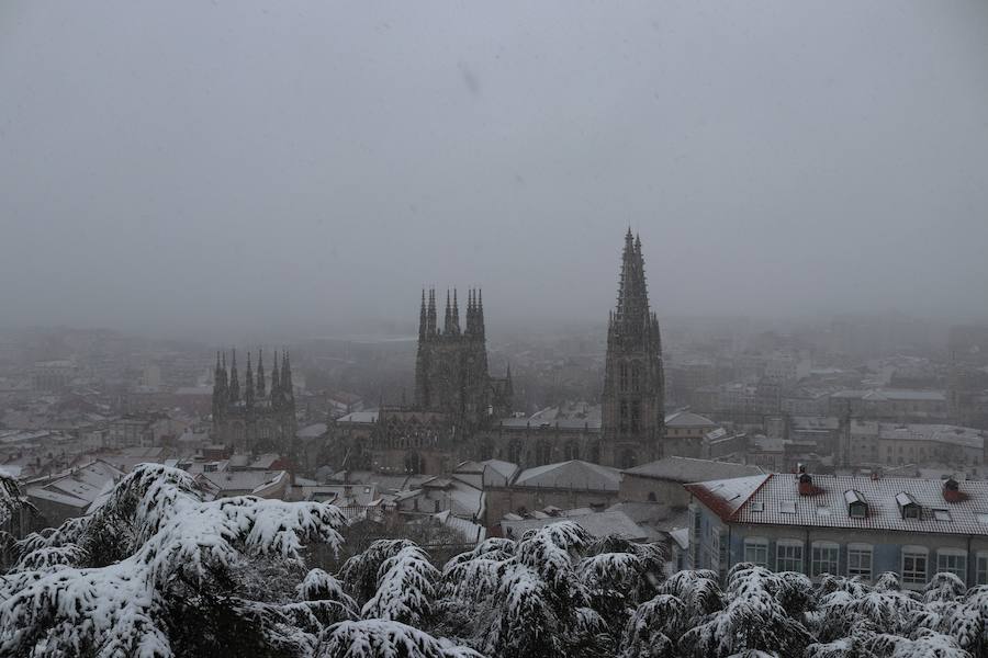 La incesante nieve ha caído durante toda la jornada del sábado ha dejado bellas estampas en la ciudad