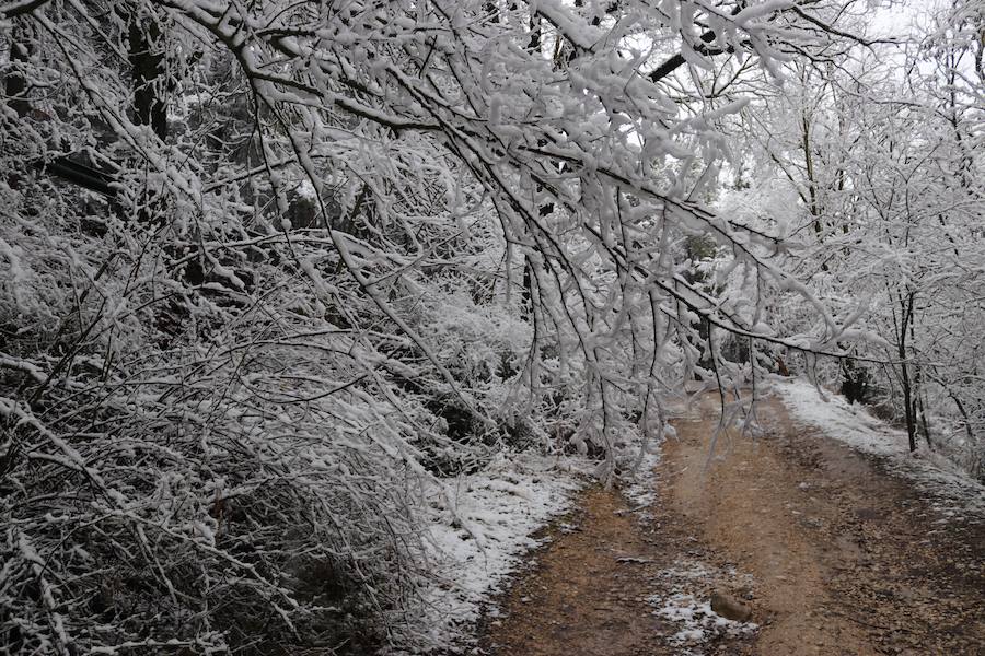 La incesante nieve ha caído durante toda la jornada del sábado ha dejado bellas estampas en la ciudad