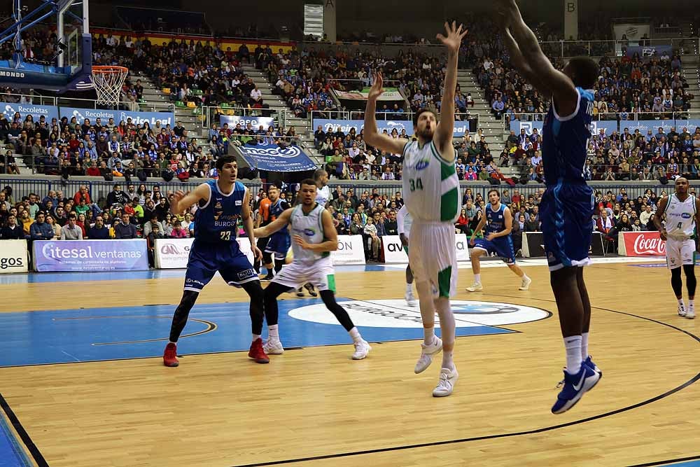 Mejores imágenes de la victoria del San Pablo al Betis