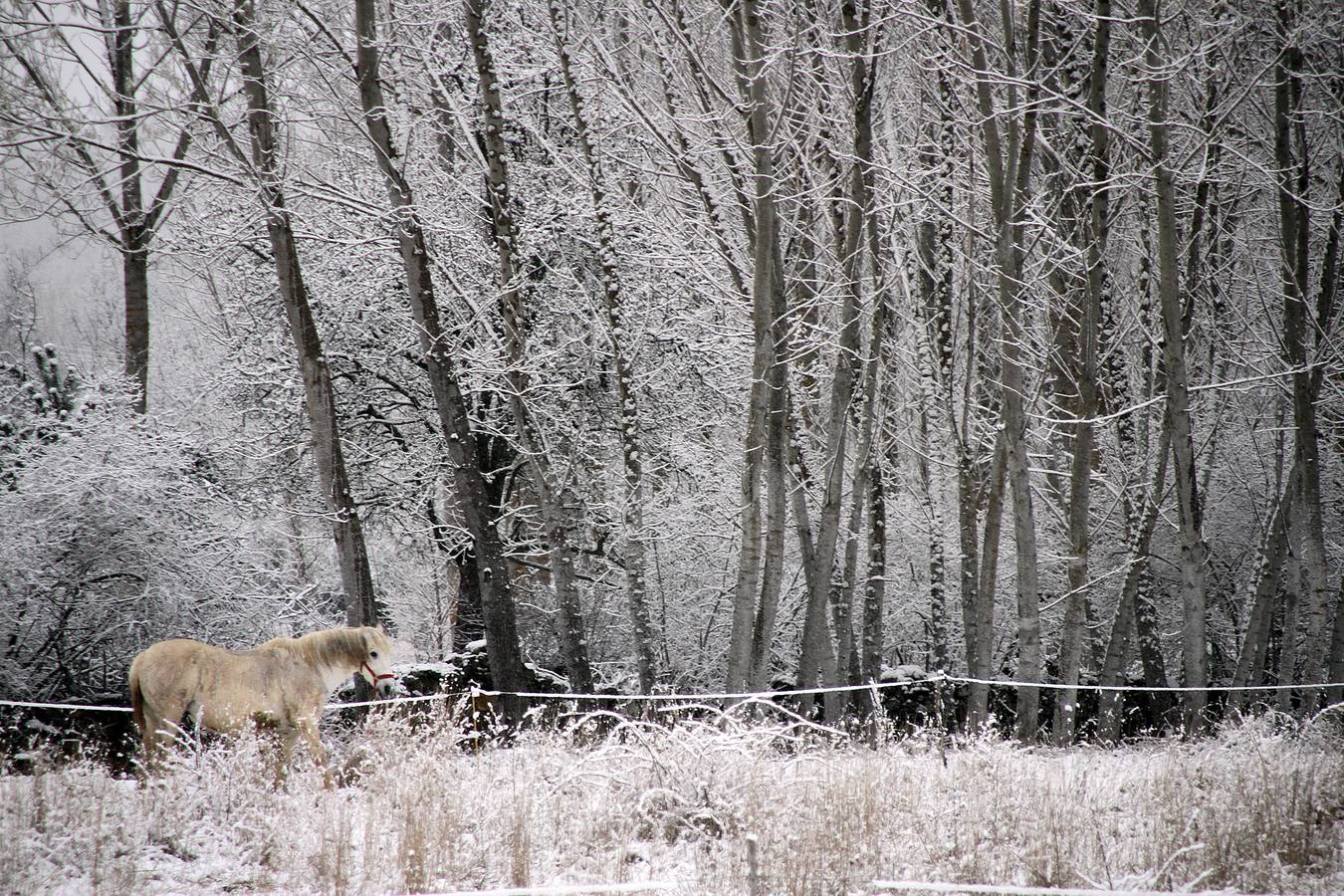 Nieve en la comarca de La Cepeda (León).