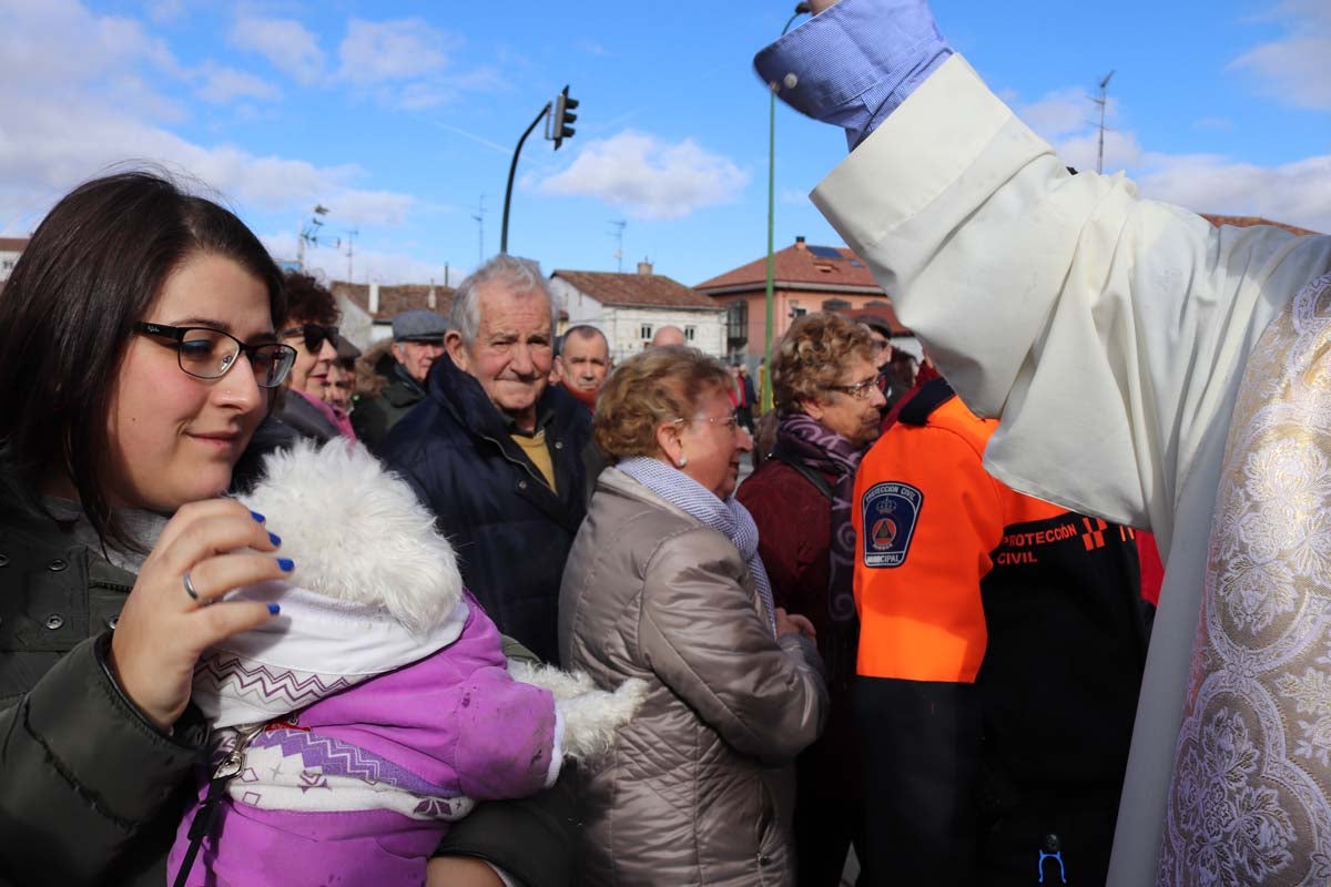 Miles de personas acuden al tradicional reparto de titos de la Cofradía de San Antón en Gamonal