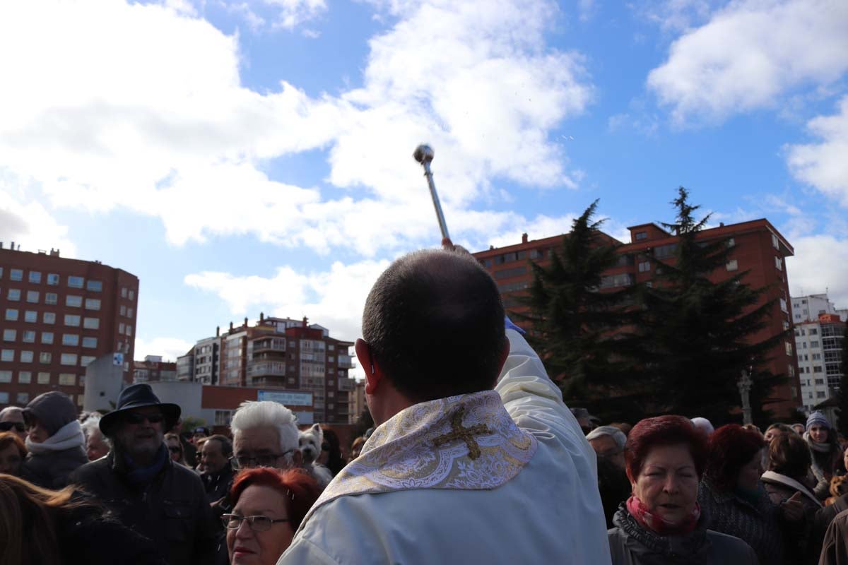 Miles de personas acuden al tradicional reparto de titos de la Cofradía de San Antón en Gamonal