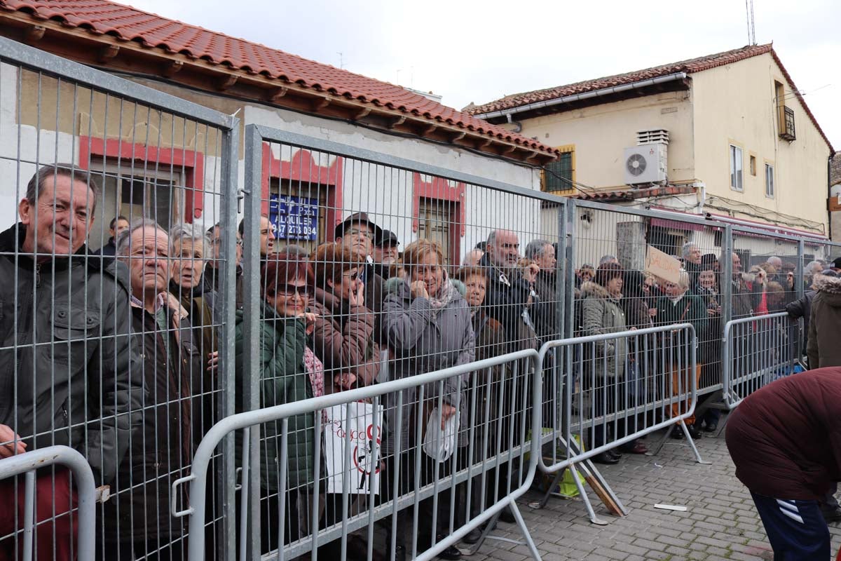 Miles de personas acuden al tradicional reparto de titos de la Cofradía de San Antón en Gamonal