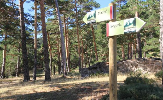 Señales en el camino de la Fuenfría, en los pinares de Valsaín, que indican las direcciones hacia Segovia y Madrid. 