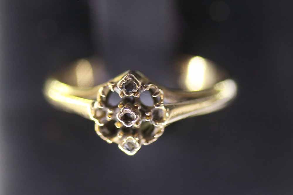 Del 1 de febrero al 11 de marzo en el Fórum Evolución