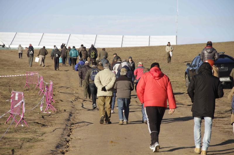 Ambiente en la carrera de galgos de este sábado en Madrigal de las Altas Torres, durante los cuartos de final del Campeonato Nacional