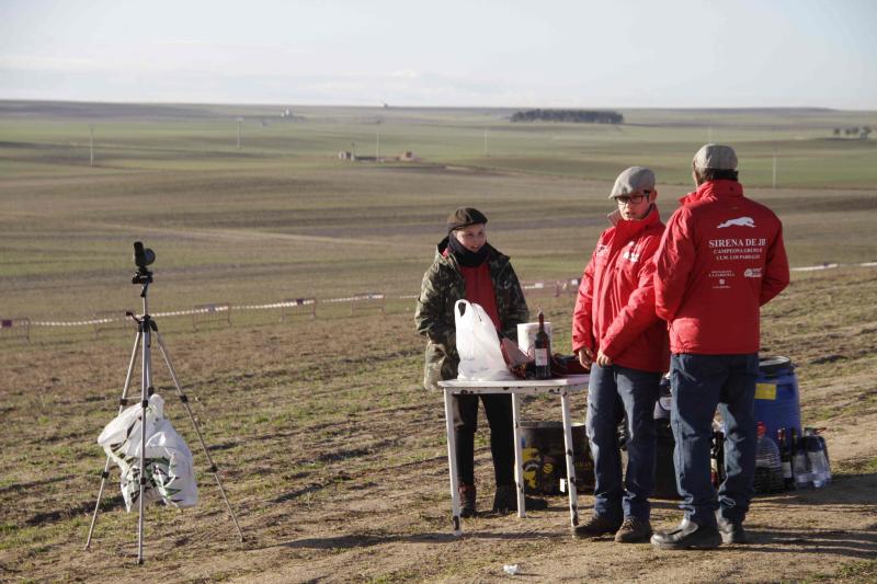 Ambiente en la carrera de galgos de este sábado en Madrigal de las Altas Torres, durante los cuartos de final del Campeonato Nacional