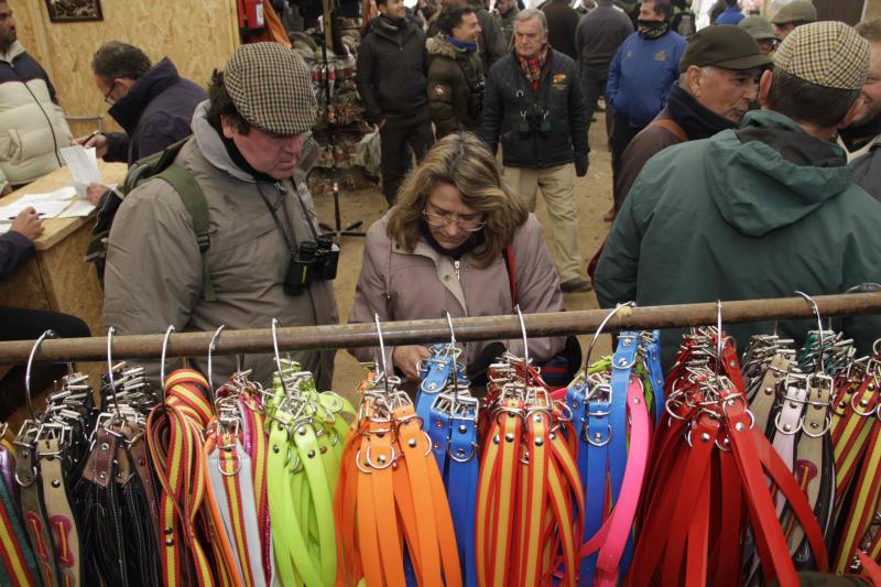 Ambiente en la carrera de galgos de este sábado en Madrigal de las Altas Torres, durante los cuartos de final del Campeonato Nacional