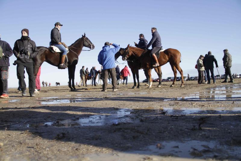 Ambiente en la carrera de galgos de este sábado en Madrigal de las Altas Torres, durante los cuartos de final del Campeonato Nacional